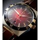 OMEGA 오메가 스타 컨스틸레이션 Star Constellation Watch